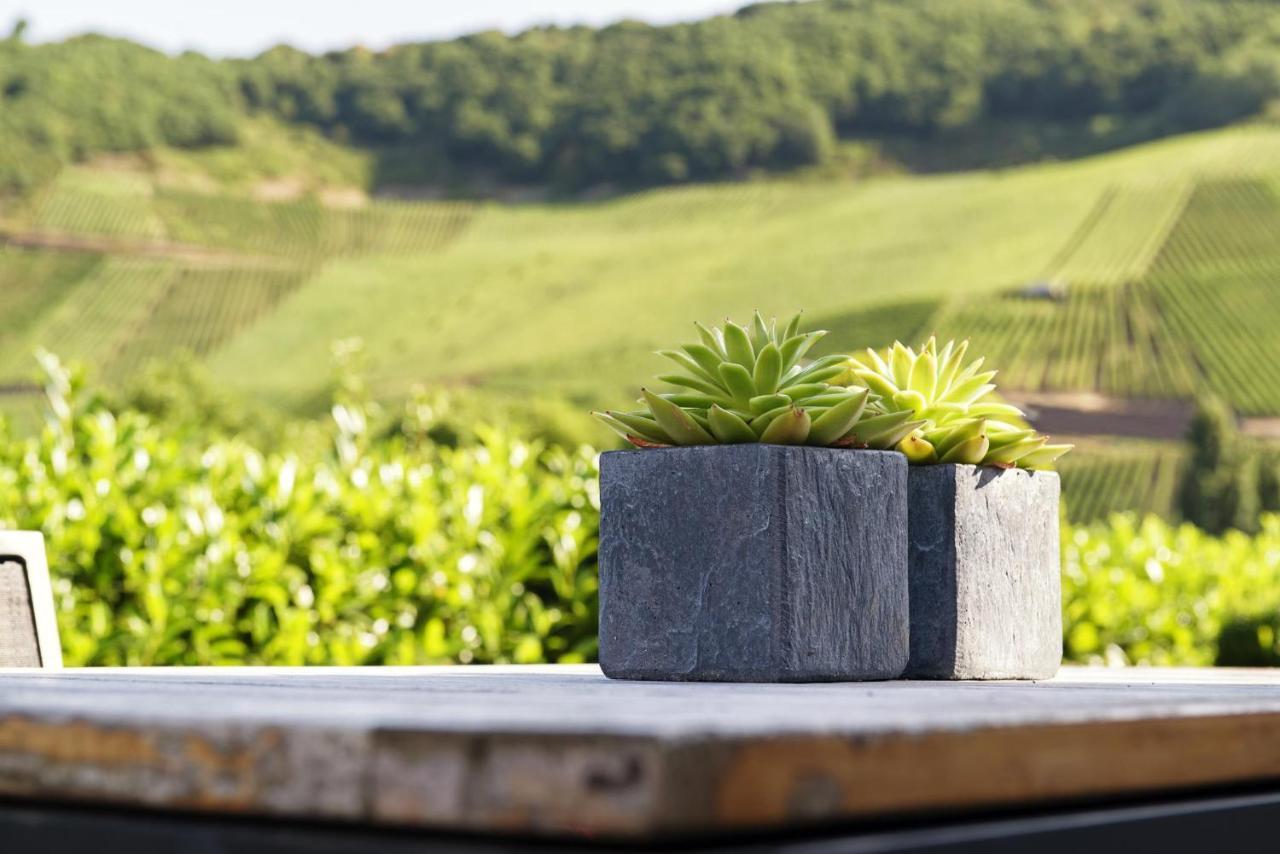 Weingut & Gaestehaus Christoph Cluesserath Trittenheim Kültér fotó