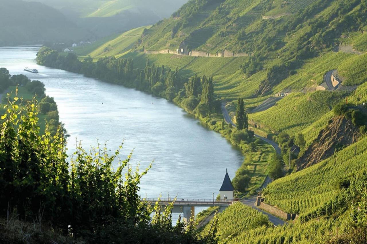Weingut & Gaestehaus Christoph Cluesserath Trittenheim Kültér fotó