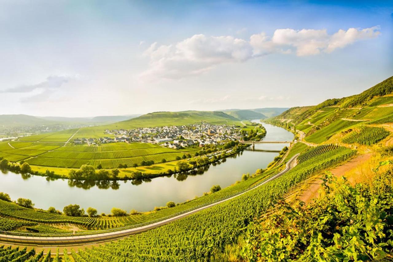 Weingut & Gaestehaus Christoph Cluesserath Trittenheim Kültér fotó