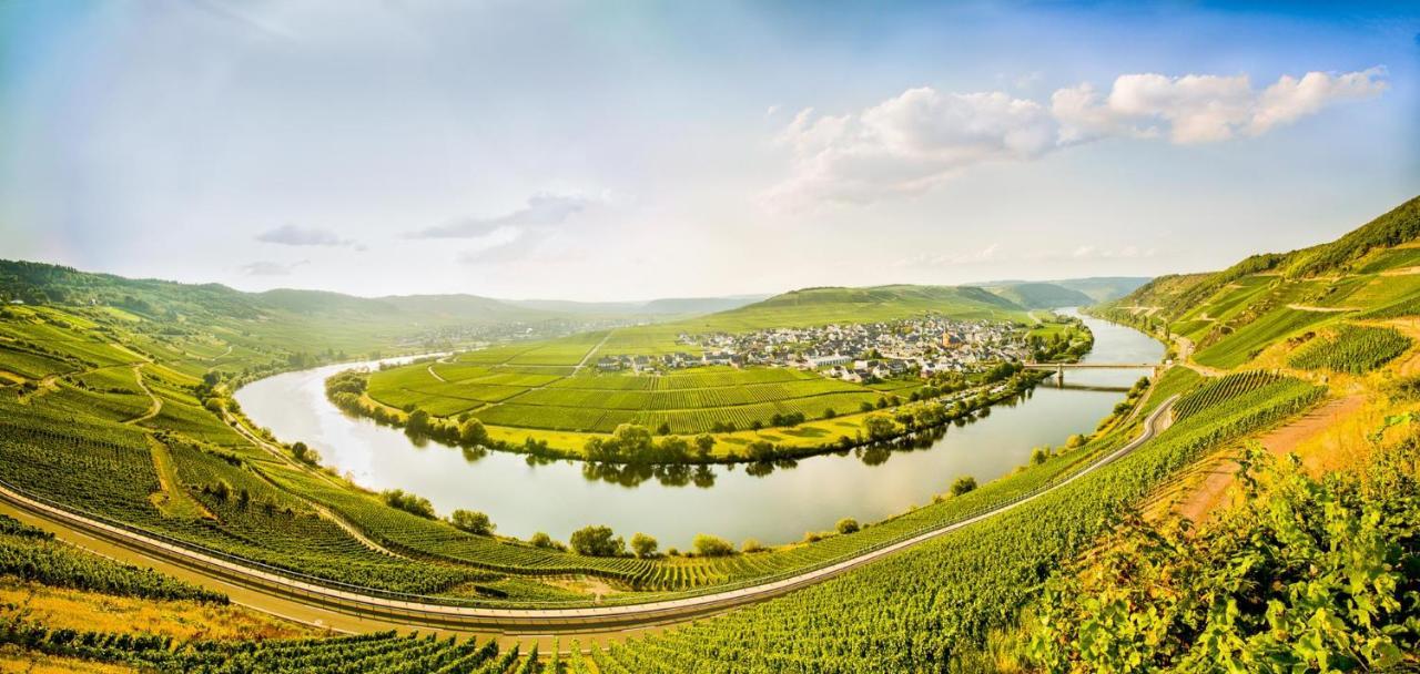 Weingut & Gaestehaus Christoph Cluesserath Trittenheim Kültér fotó