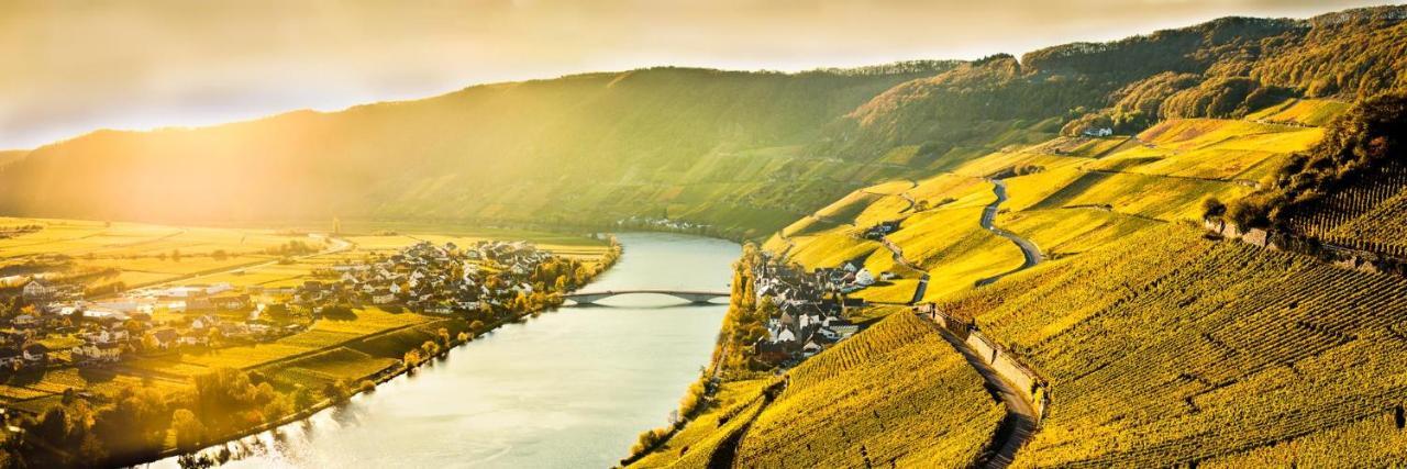 Weingut & Gaestehaus Christoph Cluesserath Trittenheim Kültér fotó