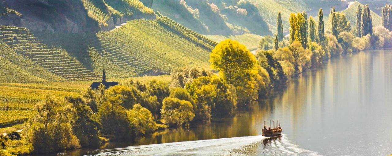 Weingut & Gaestehaus Christoph Cluesserath Trittenheim Kültér fotó