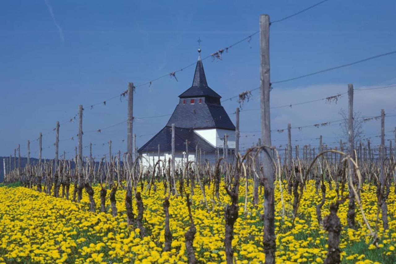 Weingut & Gaestehaus Christoph Cluesserath Trittenheim Kültér fotó